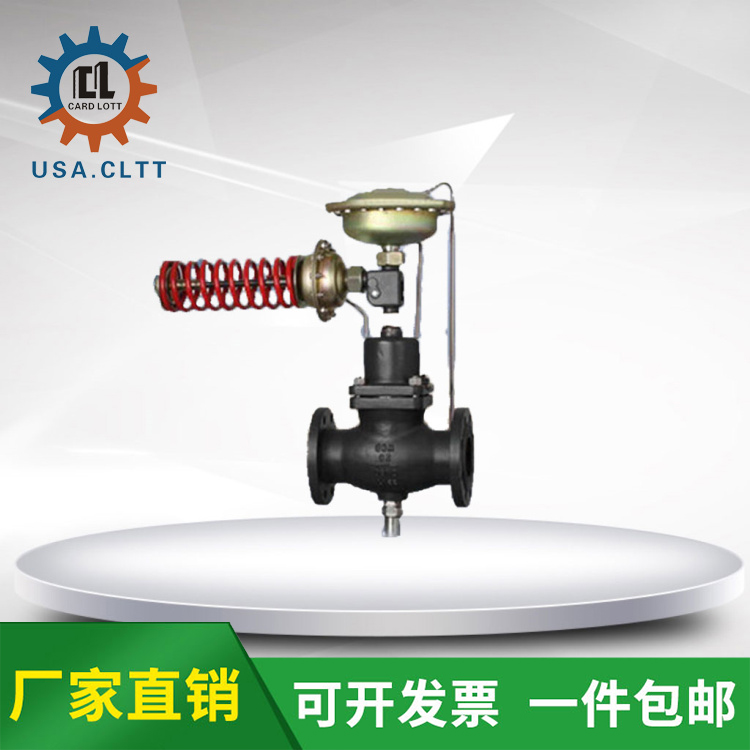 进口自力式流量压力组合阀