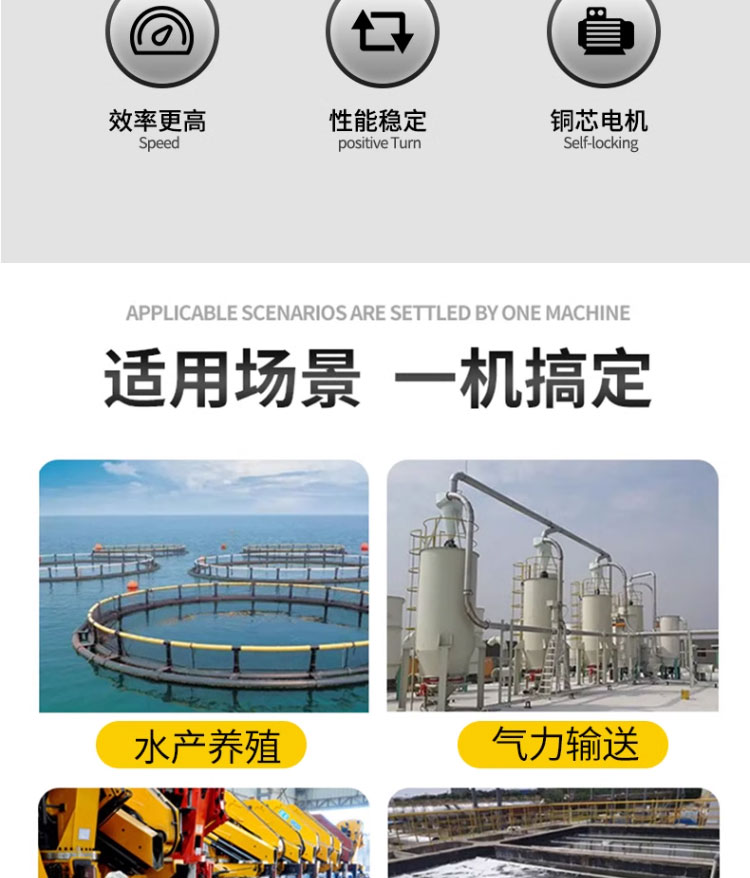 进口特种挠性泵自吸泵化工杂质泵自吸不锈钢豆浆食品转子泵医药食品泵(图3)