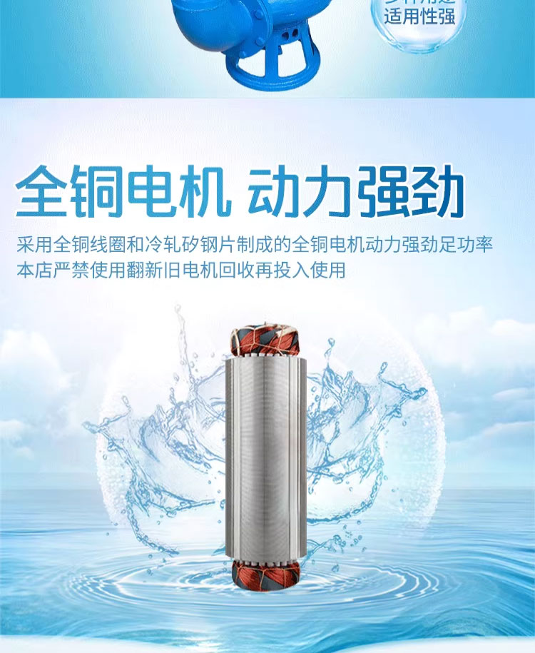 进口潜水抽沙泵高铬合金大型渣浆泵耐腐耐磨泥浆泵机械密封4 寸搅拌器(图6)