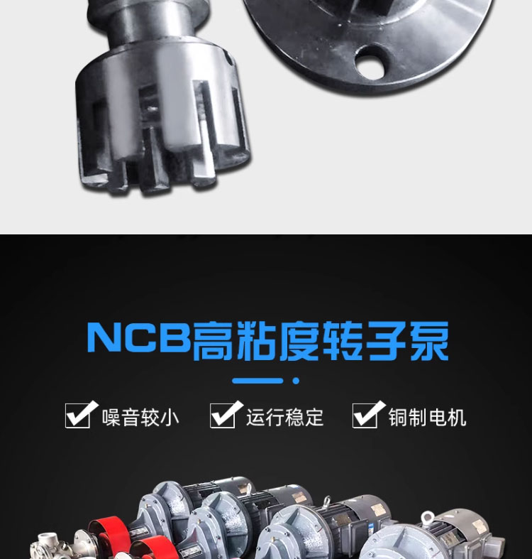 进口转子泵皮带传动不锈钢食品泵电动自吸小型泵全铜电机通用(图6)