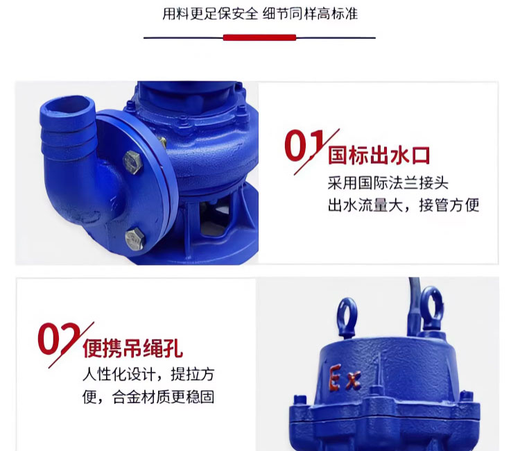进口防爆排污泵电动不锈钢污水提升泵220_380潜水排污泵切割污水泵(图8)