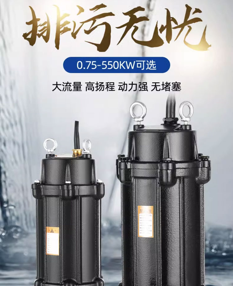 进口污水泵潜水排污泵380v大流量抽粪220v泥浆污水提升高杨程潜污泵(图1)