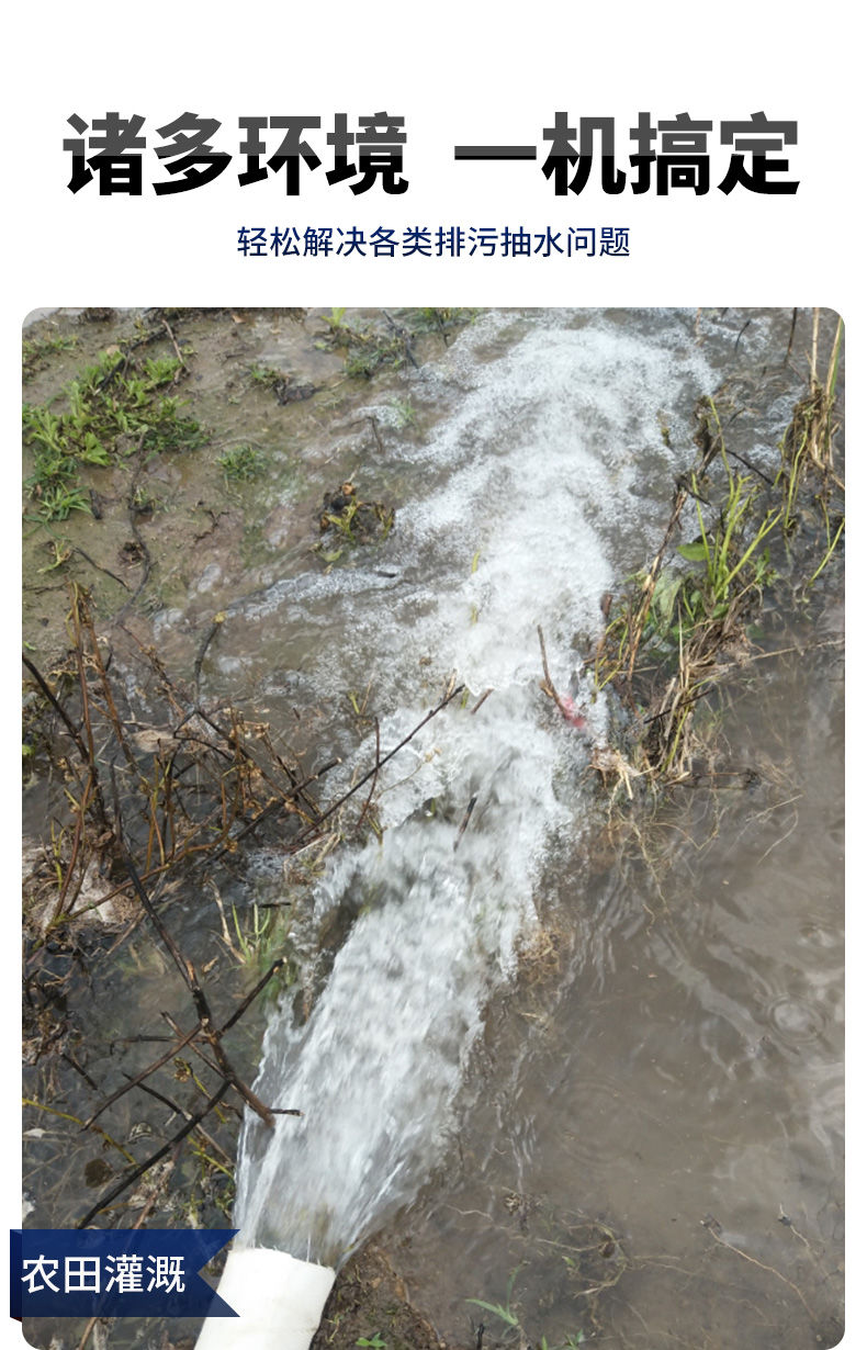 进口切割泵家用沼气池污水泵化粪池220V抽粪泵泥浆高扬程排污泵380V(图14)