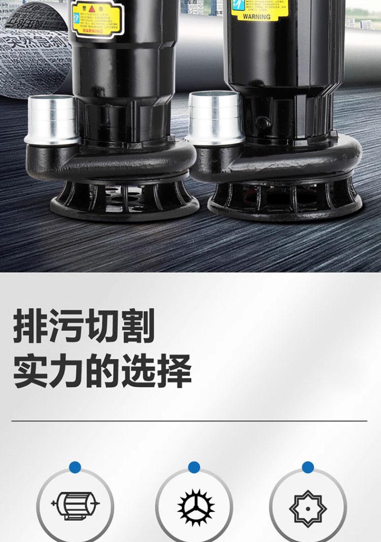 进口切割式污水泵220V化粪池抽粪泥浆排污泵家用农用灌溉大流量抽水泵(图2)