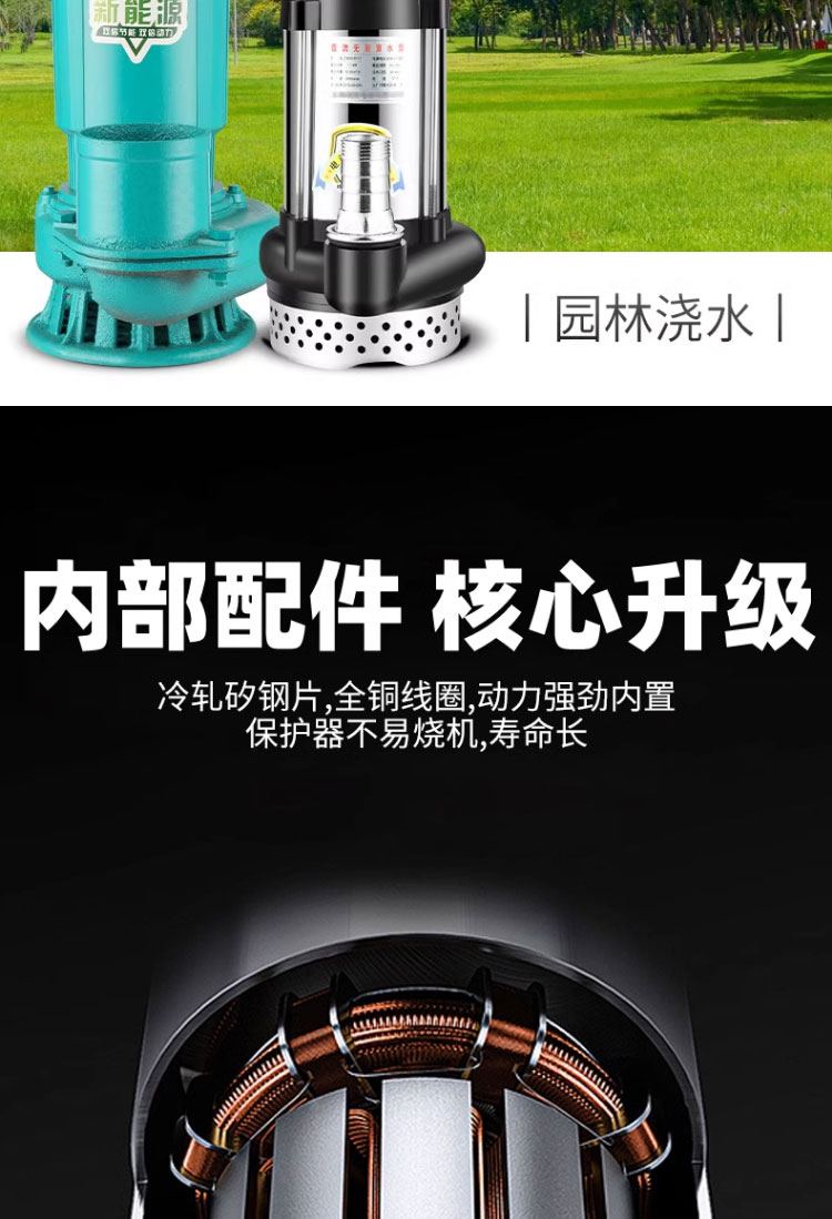 进口智能无刷直流潜水泵48V60V72伏高扬程大流量电瓶车农用灌溉抽水机(图15)