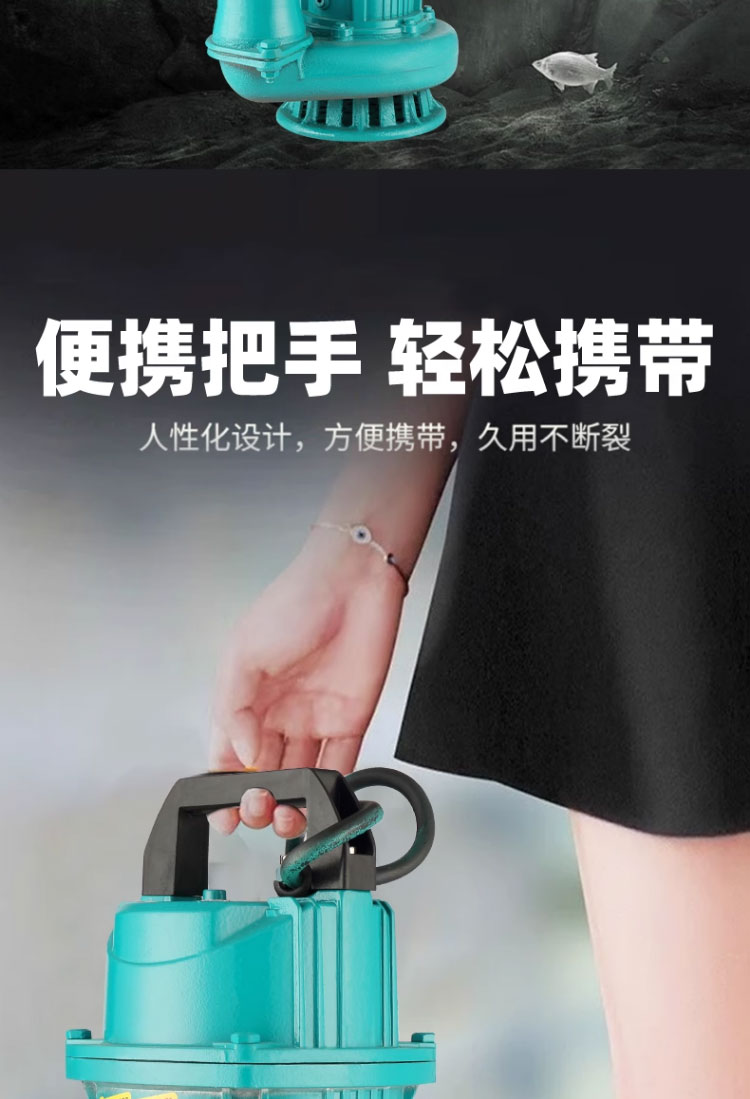 进口智能无刷直流潜水泵48V60V72伏高扬程大流量电瓶车农用灌溉抽水机(图10)