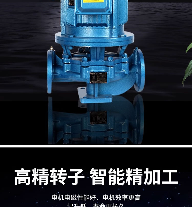 进口立式管道离心泵ISG冷热水管道增压泵锅炉热水循环泵工业泵(图6)