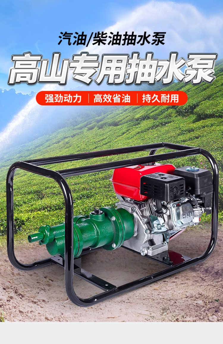 进口高压高扬程水泵抽水机2寸大流量大功率柴油机抽水泵汽油高山泵(图1)