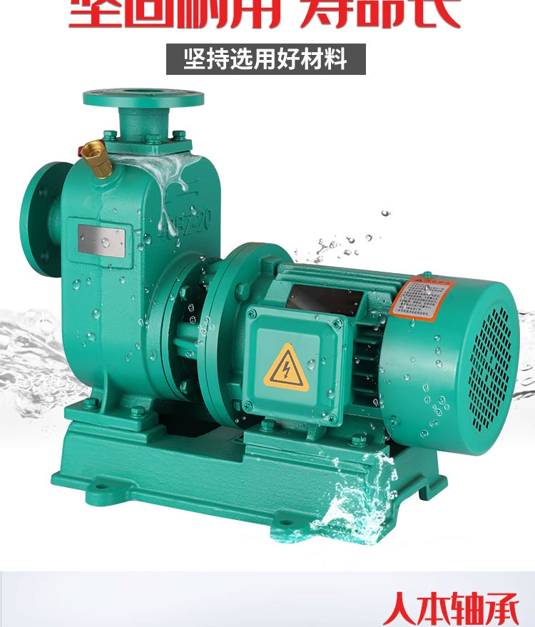 进口直连式自吸排污泵大流量管道抽水泵自吸卧式离心泵耐高(图5)