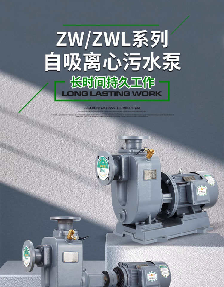 进口自吸排污泵大流量抽水泵380v工业增压无堵塞卧式管道离心污水泵(图1)