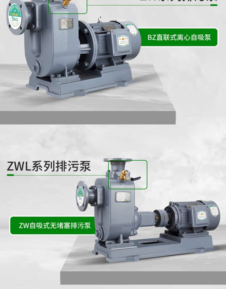 进口自吸排污泵大流量抽水泵380v工业增压无堵塞卧式管道离心污水泵(图12)