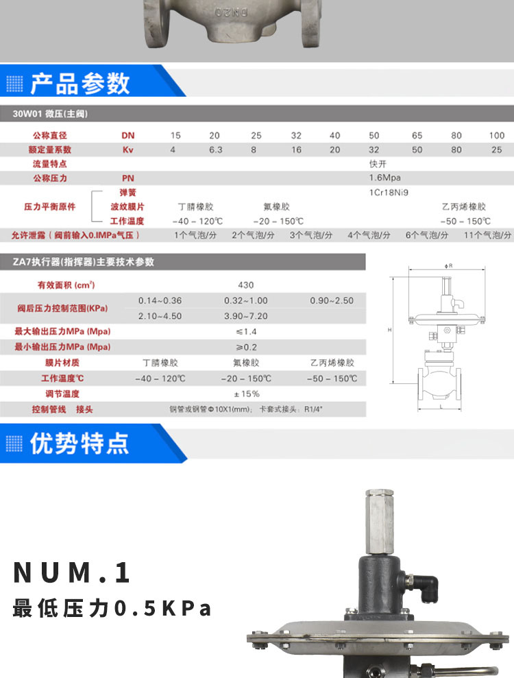 进口氮封阀自力式压力调节阀铸钢不锈钢自力式供氮阀泄氮阀氮气减压阀(图2)