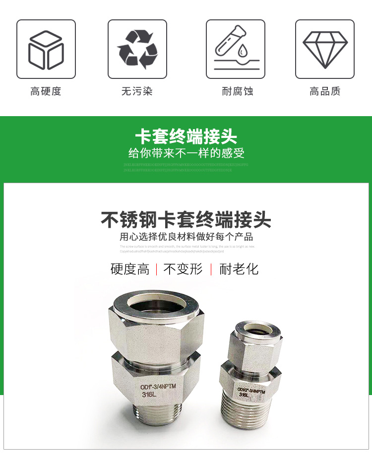 进口卡套式终端接头(图3)